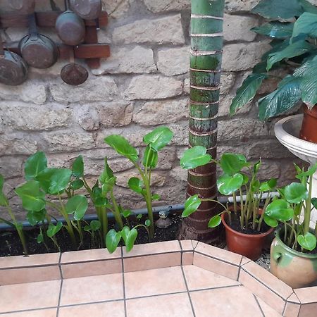 Pension Antonio Guesthouse Alicante Luaran gambar